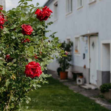 Ferienwohnung Morgensonne Schuetzen am Gebirge Ngoại thất bức ảnh