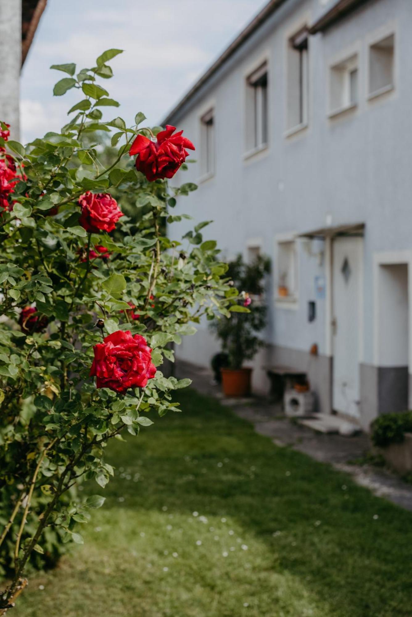 Ferienwohnung Morgensonne Schuetzen am Gebirge Ngoại thất bức ảnh
